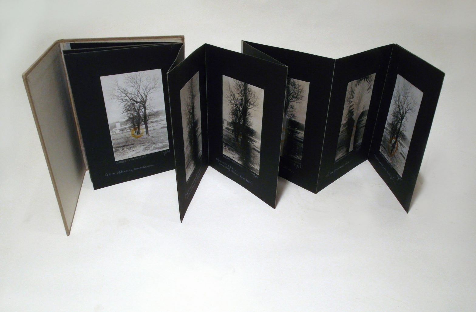 Each pages inside shows a photo of tree. Handwritten notes underneath.